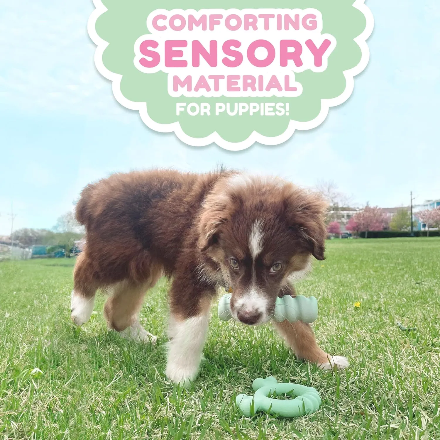 Nylabone Sensory Material Soothing Puppy Chew Toy Stick, Toys for Teething Puppies, Peanut Butter Flavor, Small - Up to 25 lbs, 1 Count