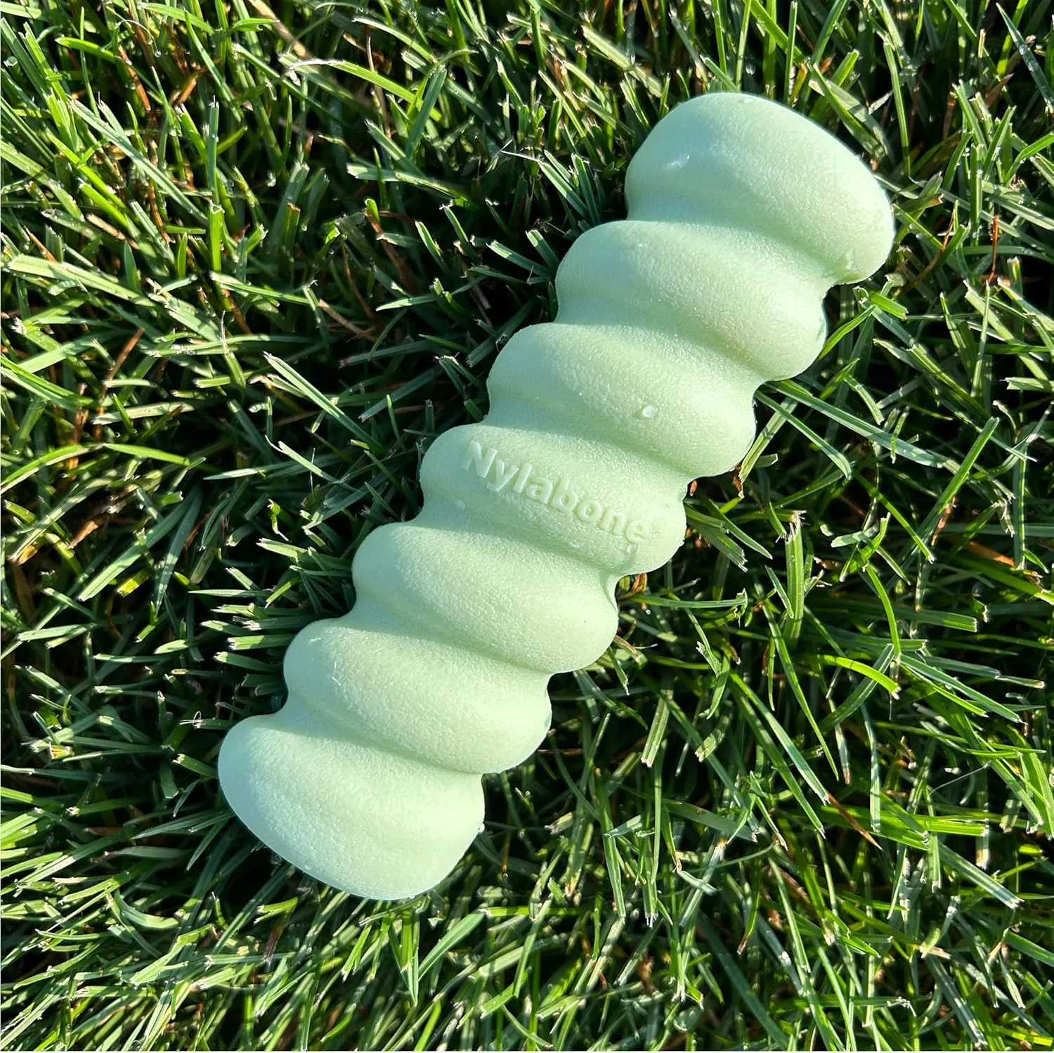 Nylabone Sensory Material Soothing Puppy Chew Toy Stick, Toys for Teething Puppies, Peanut Butter Flavor, Small - Up to 25 lbs, 1 Count