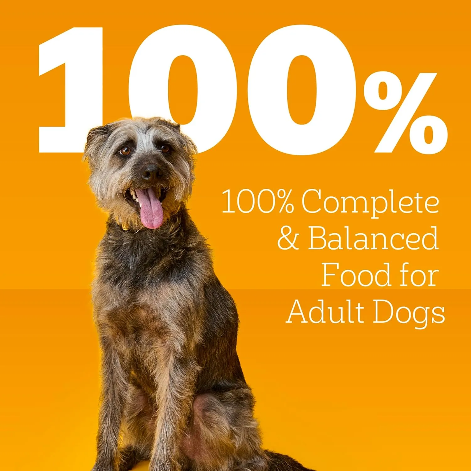 Pedigree High Protein Wet Dog Food, Chicken Duck & Beef Bison Flavors Multipack 13.2 oz. Cans (12 Count, Pack of 1)