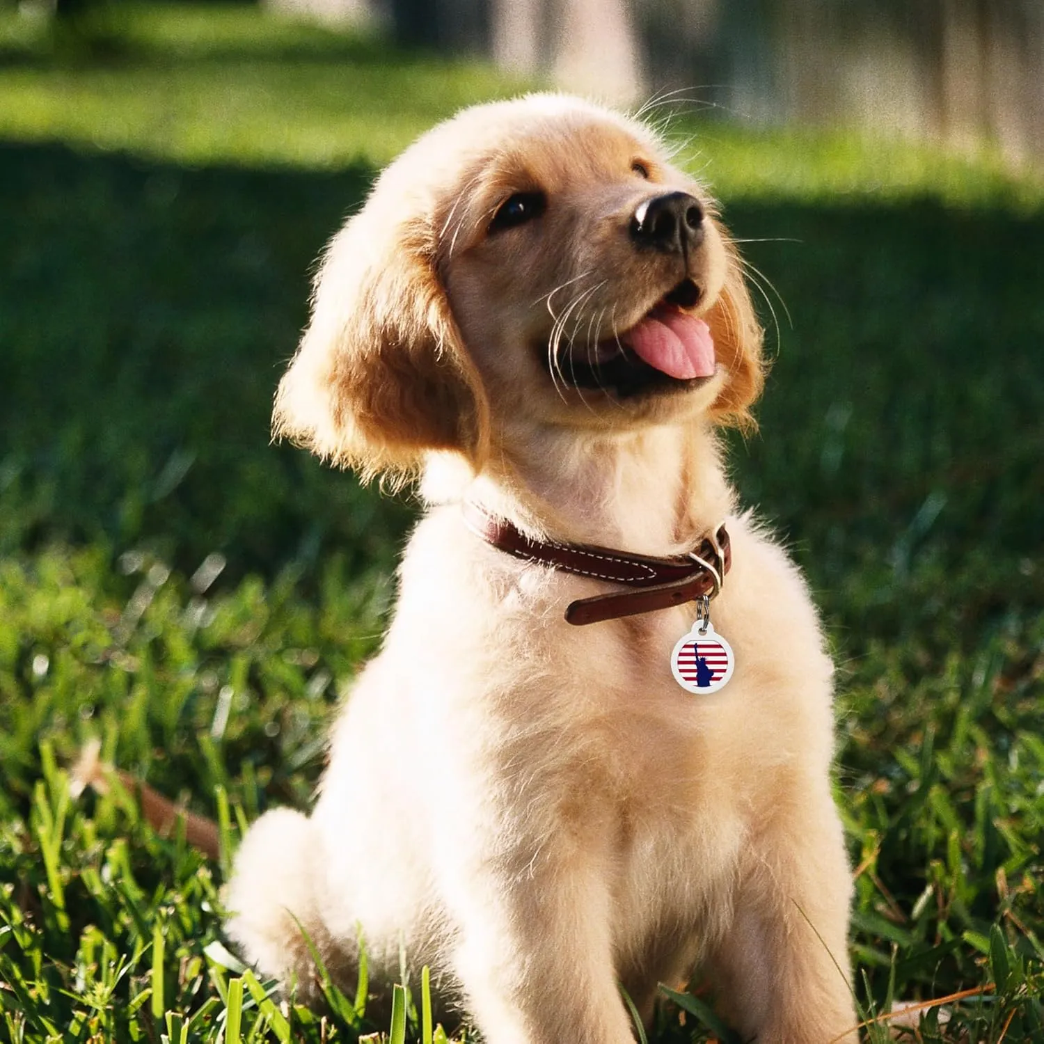 QR Code Dog Tag Silent Id Pet Tags Personalized Name Plate with Online Profile (Liberty, Small_Round)