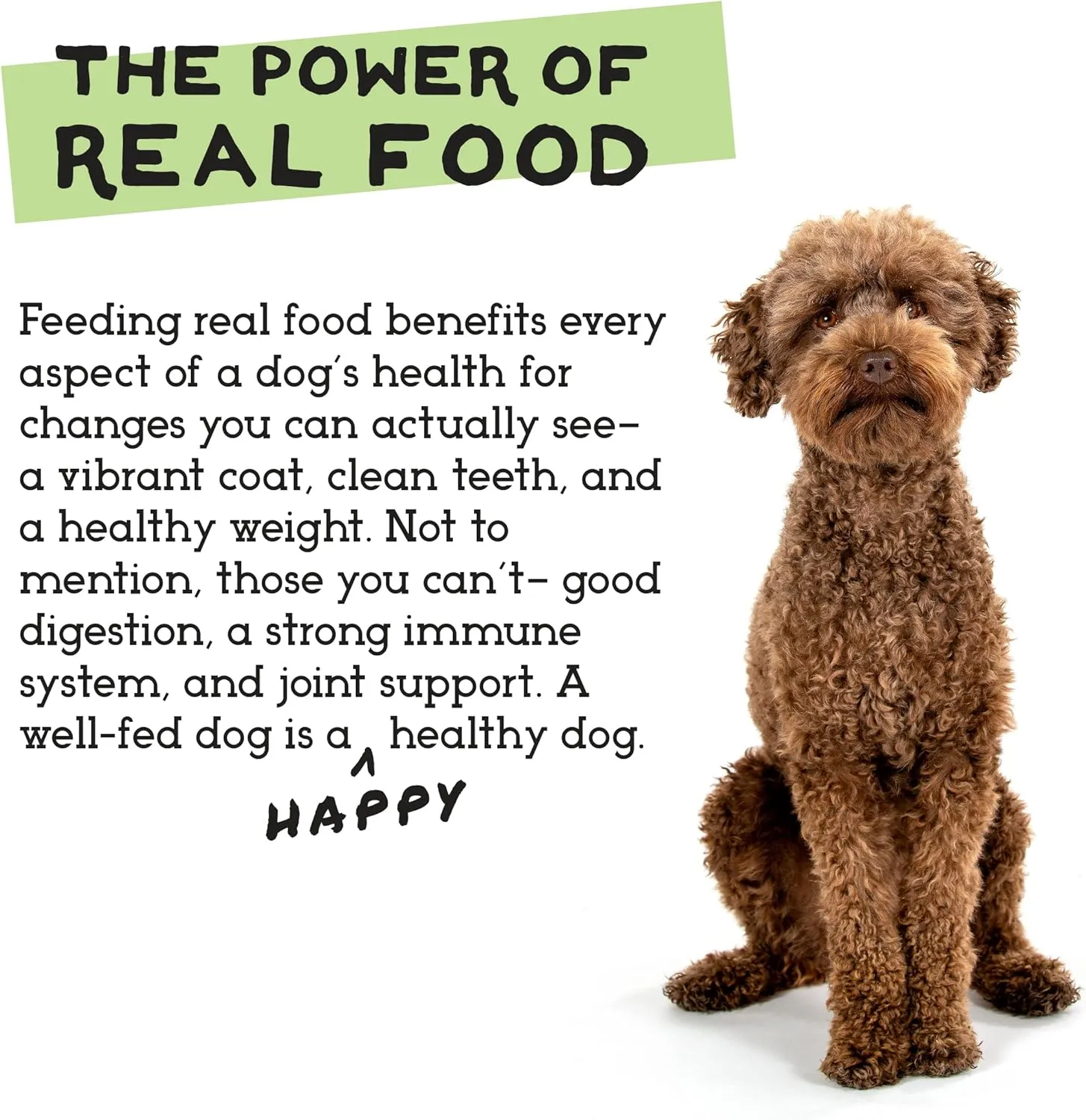 Simple Food Project The Freeze Dried Raw Dog Food Topper Featuring Organic Human Grade Ingredients [6 Pack Variety - 1oz Samples Bison, Duck, Lamb, Beef/Salmon, Duck/Trout, and Chicken/Turkey] 