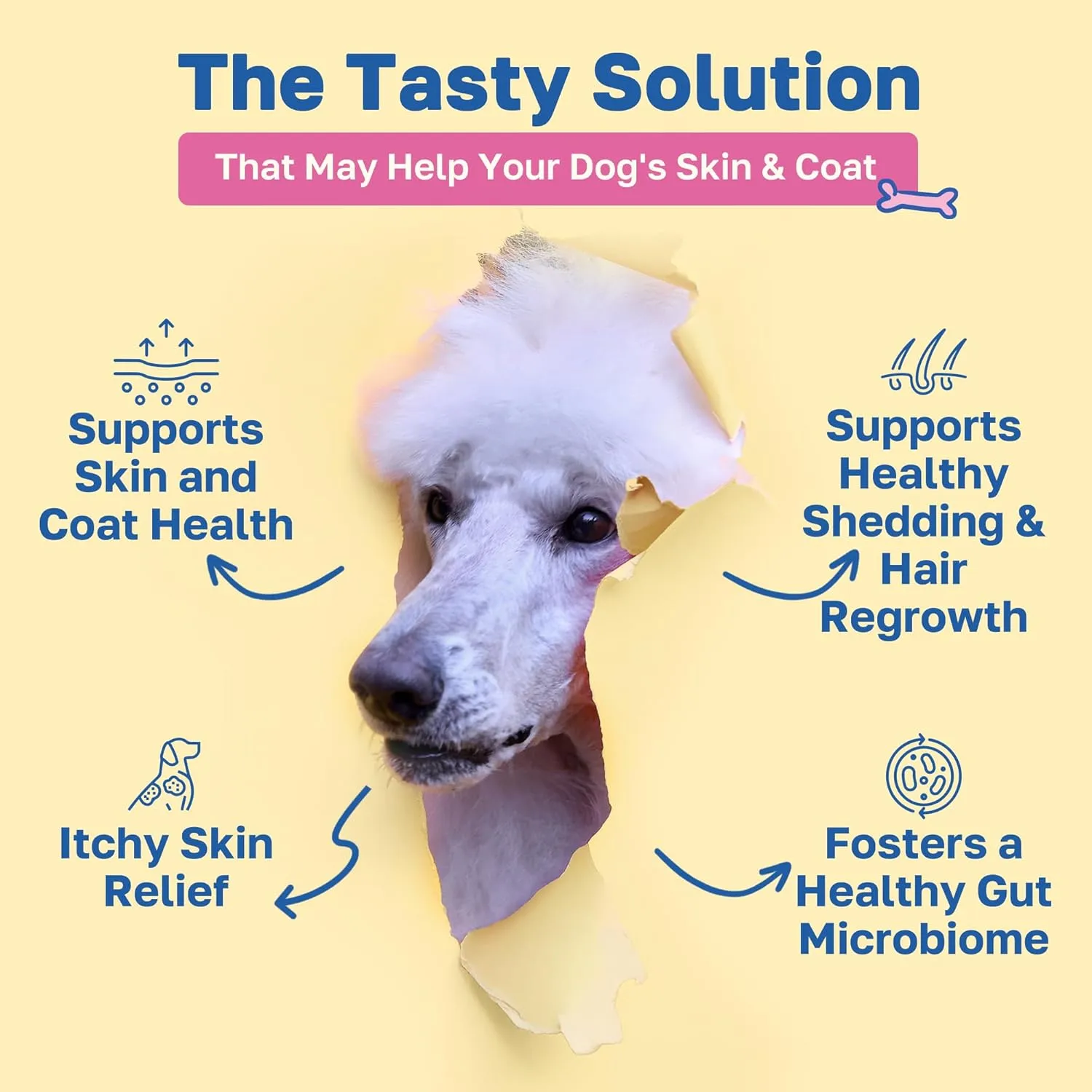 Skin and Coat Supplement for Dogs, Soft Chews with Biotin, Coconut Oil, Vitamins B & E, Organic Coral Calcium, P-18 Probiotics, Sweet Potato, Vegan, Organic, Chicken Flavored, 100
