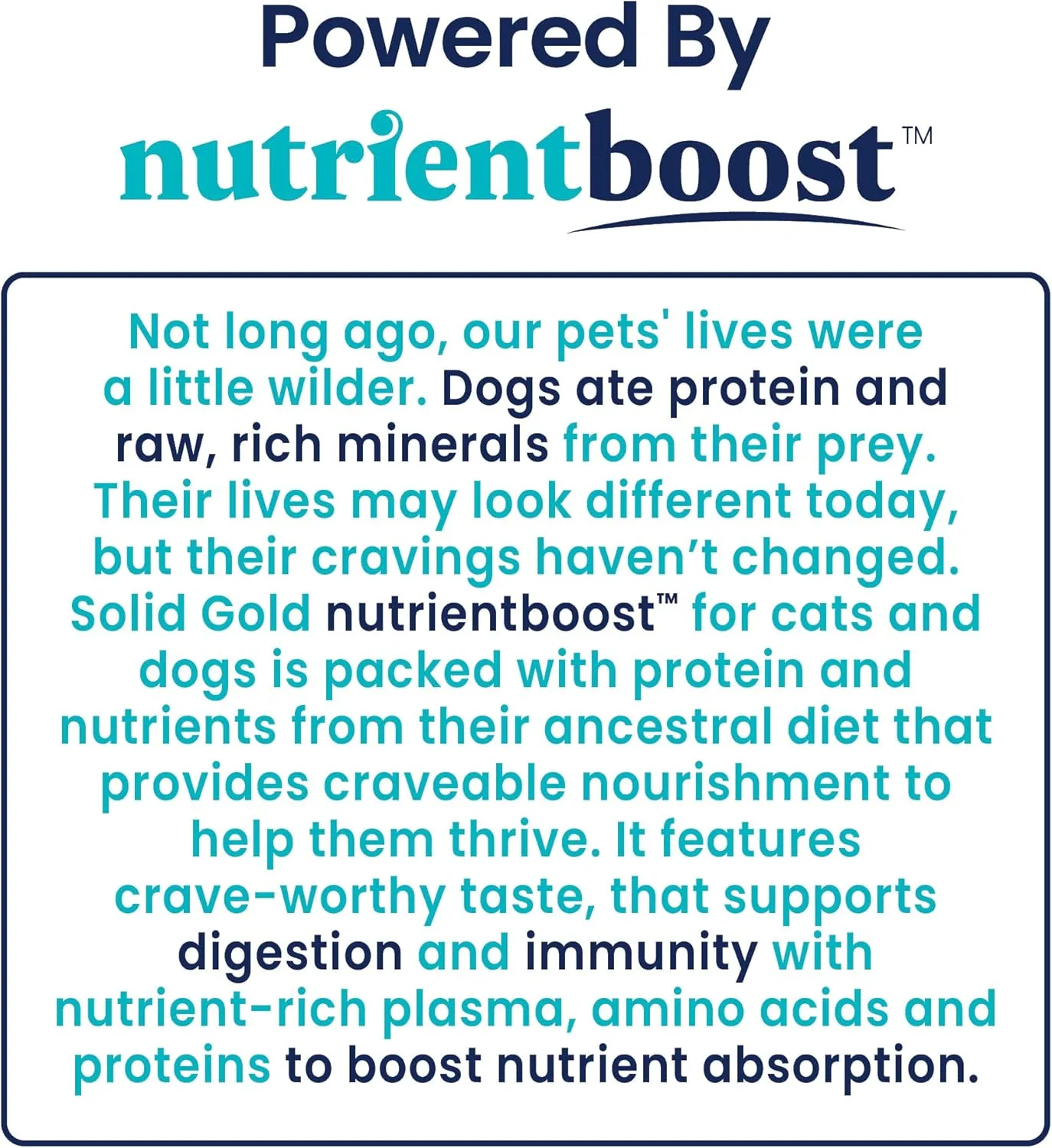 Solid Gold Canned Dog Food for Adult & Senior Dogs - Nutrientboost Hund-N-Flocken Made with Real Chicken and Healthy Whole Grains - High Calorie, High Protein Wet Dog Food - 6ct/12.5oz Cans