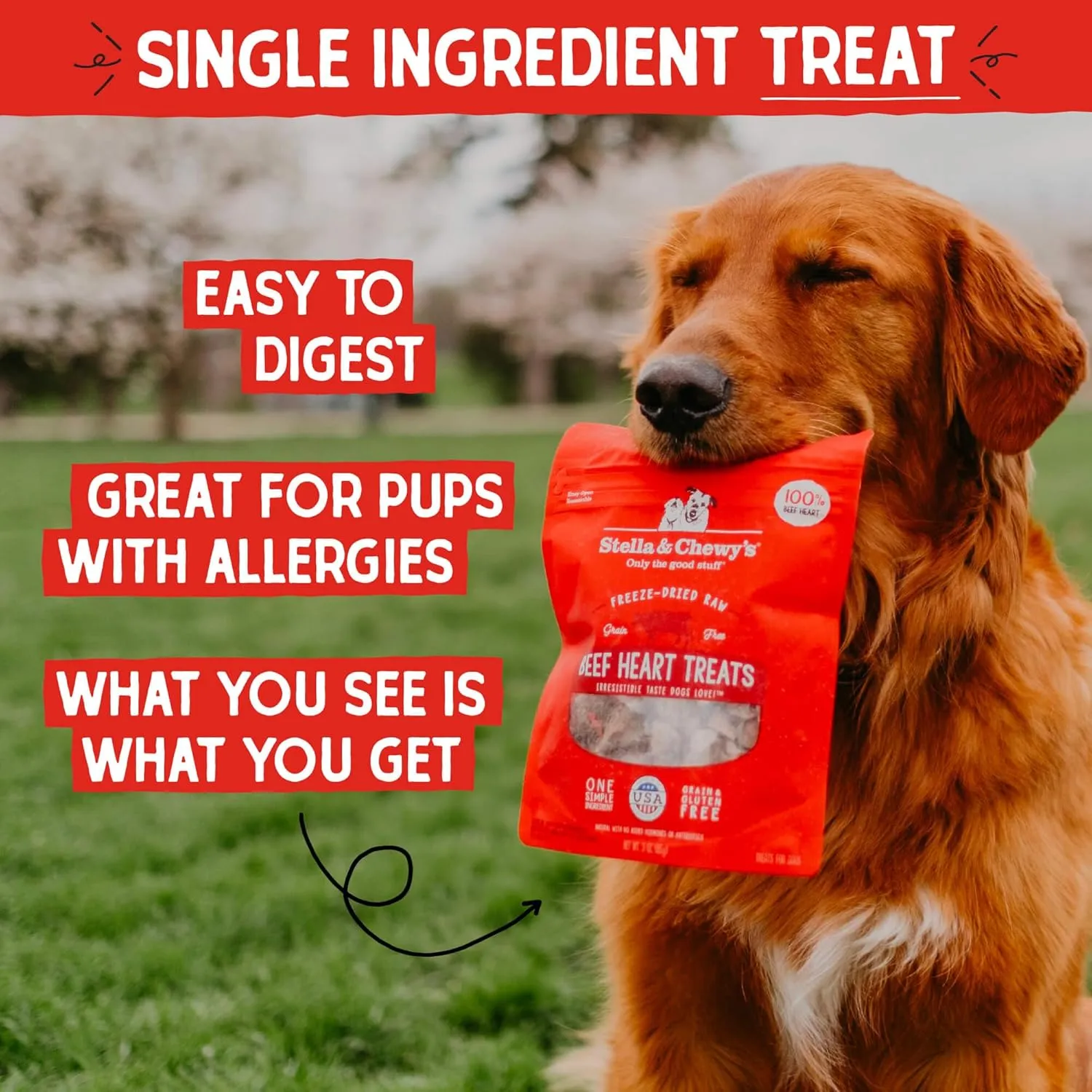Stella & Chewy's Freeze-Dried Raw Beef Liver Dog Treats - Single Ingredient, No Additives - Premium Training Treats - Perfect For Picky Eaters - 3oz Bag