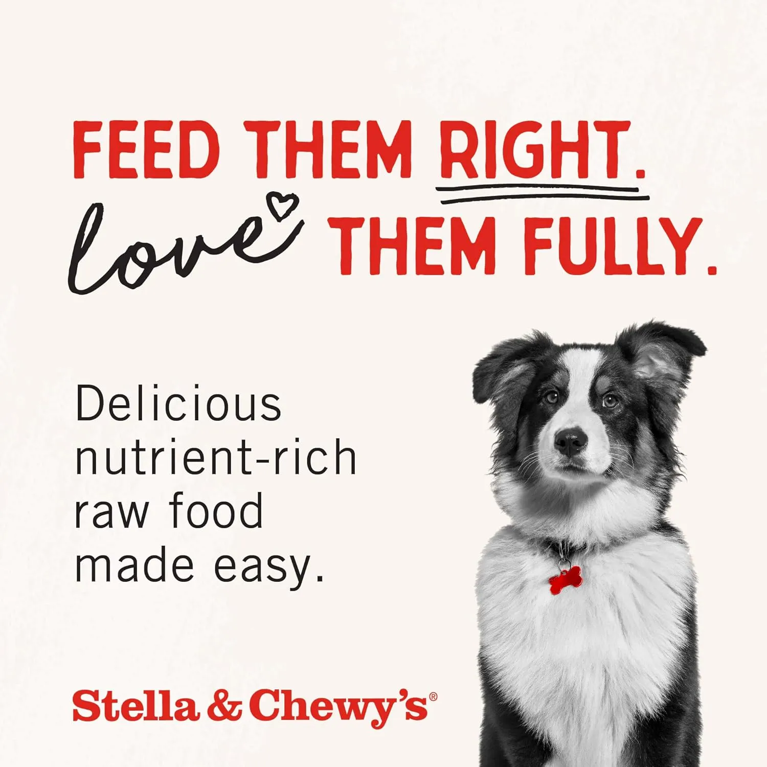 Stella & Chewy's Freeze-Dried Raw Dinner Patties - Absolutely Rabbit Recipe - High Protein Grain-Free Puppy & Dog Food - Perfect For Picky Eaters - 5.5 oz