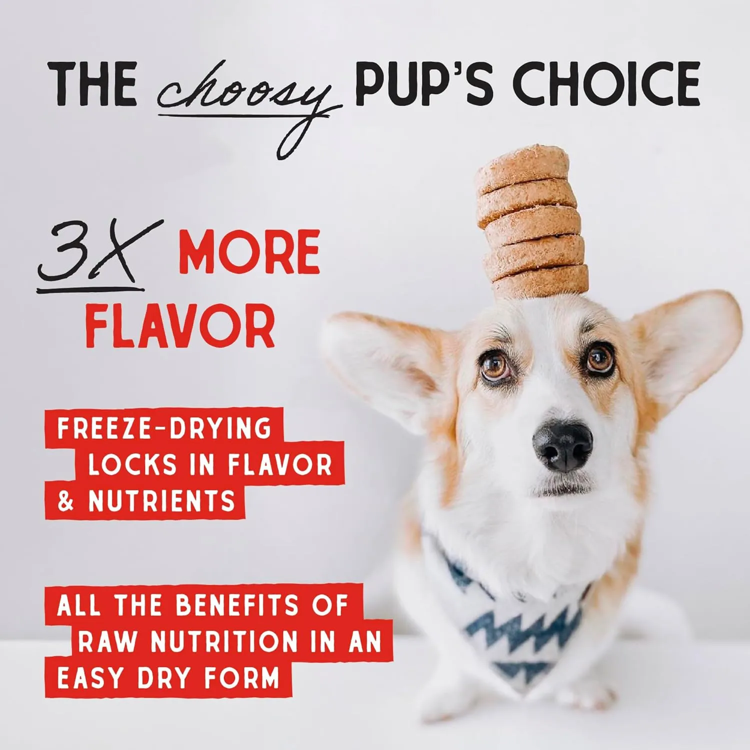 Stella & Chewy's Freeze-Dried Raw Dinner Patties - Absolutely Rabbit Recipe - High Protein Grain-Free Puppy & Dog Food - Perfect For Picky Eaters - 5.5 oz