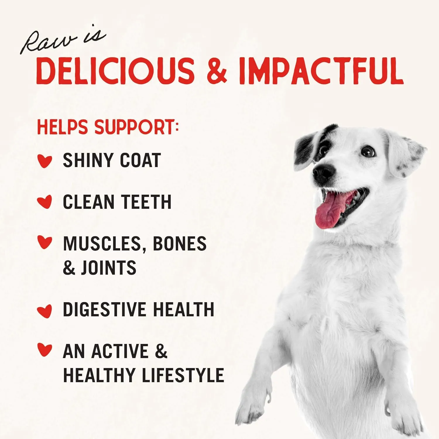 Stella & Chewy's Freeze-Dried Raw Dinner Patties - Absolutely Rabbit Recipe - High Protein Grain-Free Puppy & Dog Food - Perfect For Picky Eaters - 5.5 oz