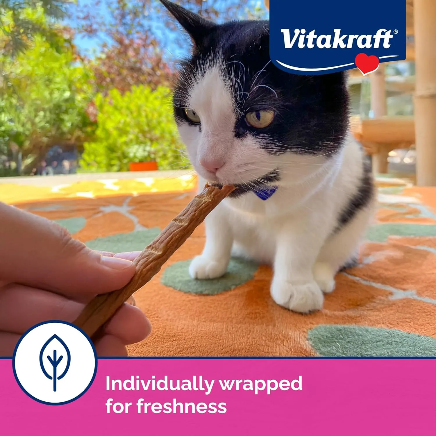 Vitakraft PurrSticks Cat Treat, Chicken with Salmon, Multi Pack of 4